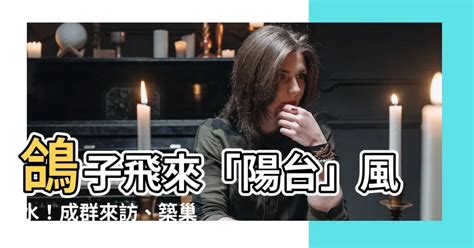 鴿子飛來風水|【鴿子飛到家裡代表什麼】快看！鴿子飛來築巢讓你好運連連！